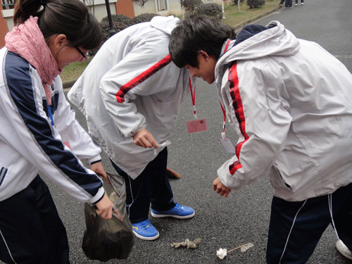 20123895233348.gif